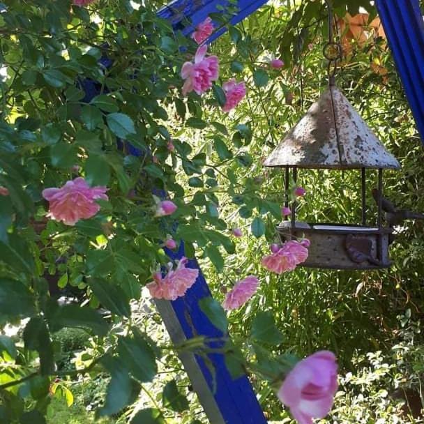 La Cabane Du Bon Chemin ,Spa 拉瓦勒 外观 照片